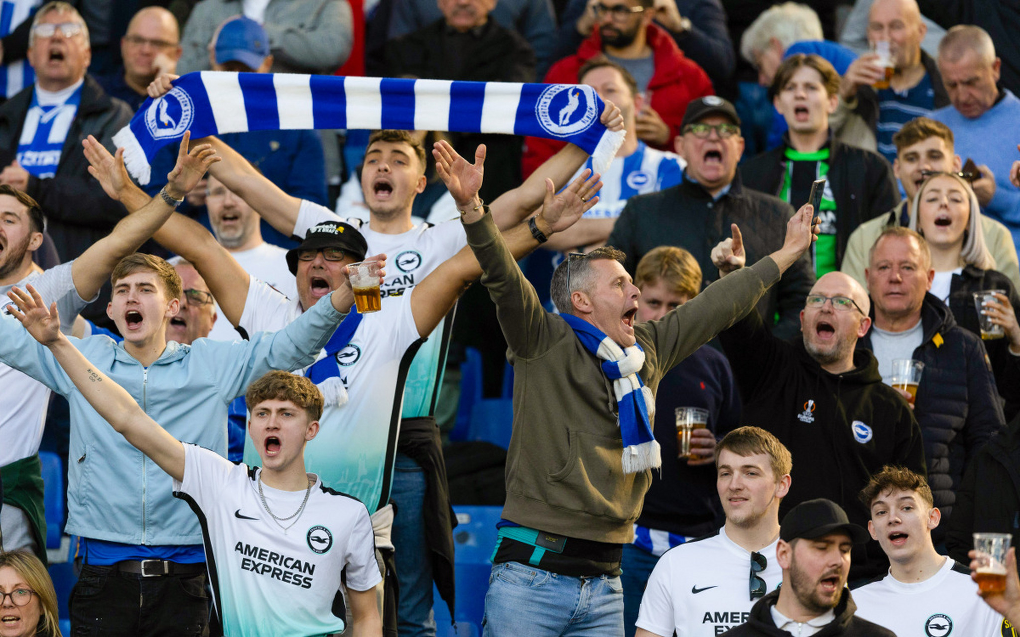 开元棋牌-欧洲球螋